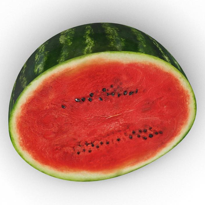 Watermelon Cross Section 3D model