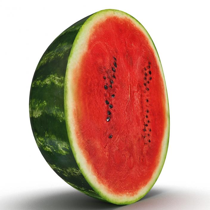 Watermelon Cross Section 3D model