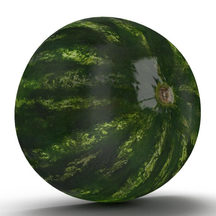 Watermelon Cross Section 3D model