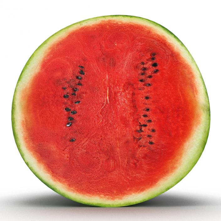 Watermelon Cross Section 3D model