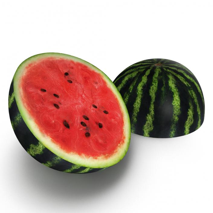 3D Watermelon Cross Section 2