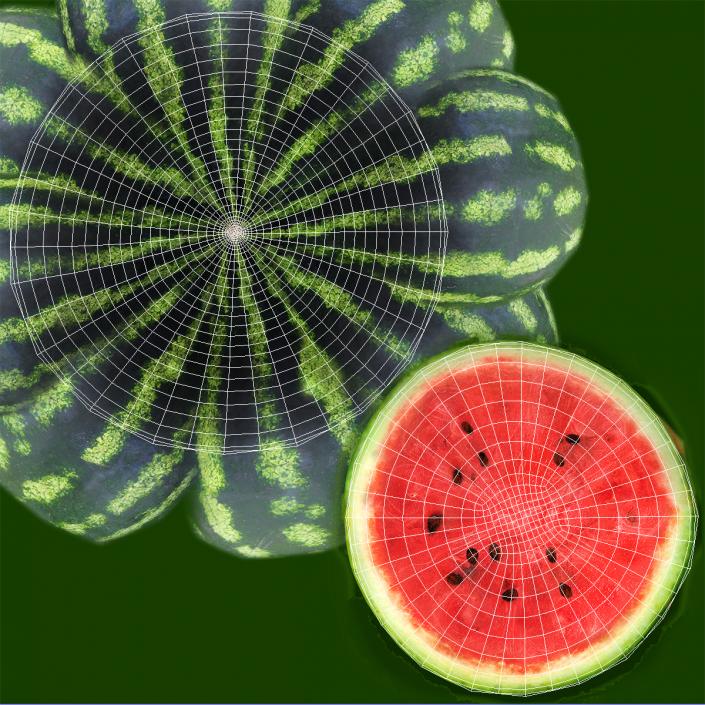 3D Watermelon Cross Section 2