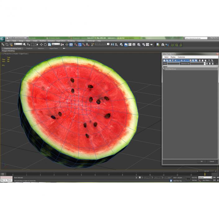 3D Watermelon Cross Section 2