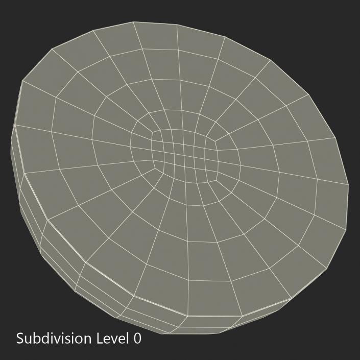 3D Watermelon Cross Section 2