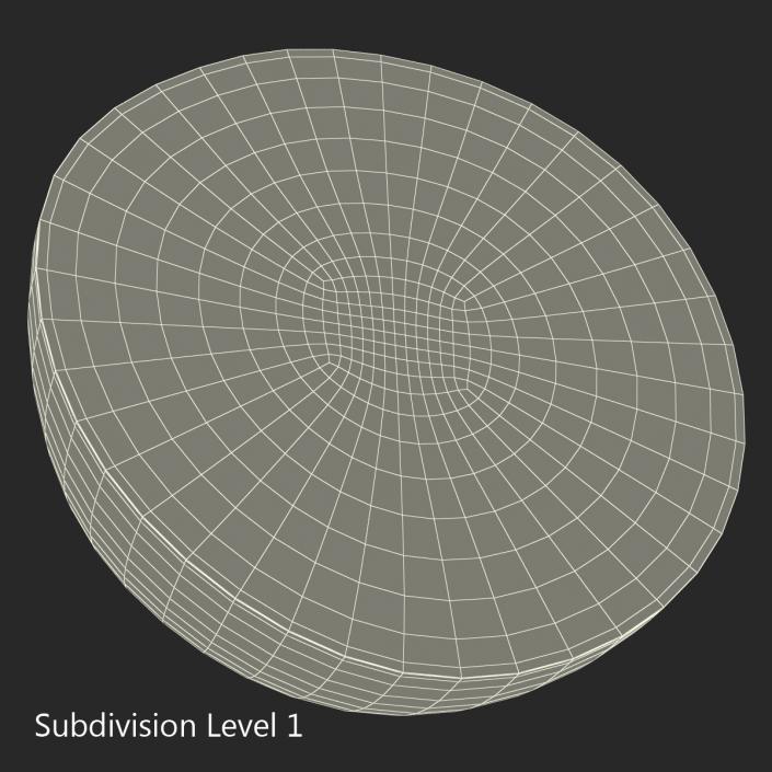 3D Watermelon Cross Section 2