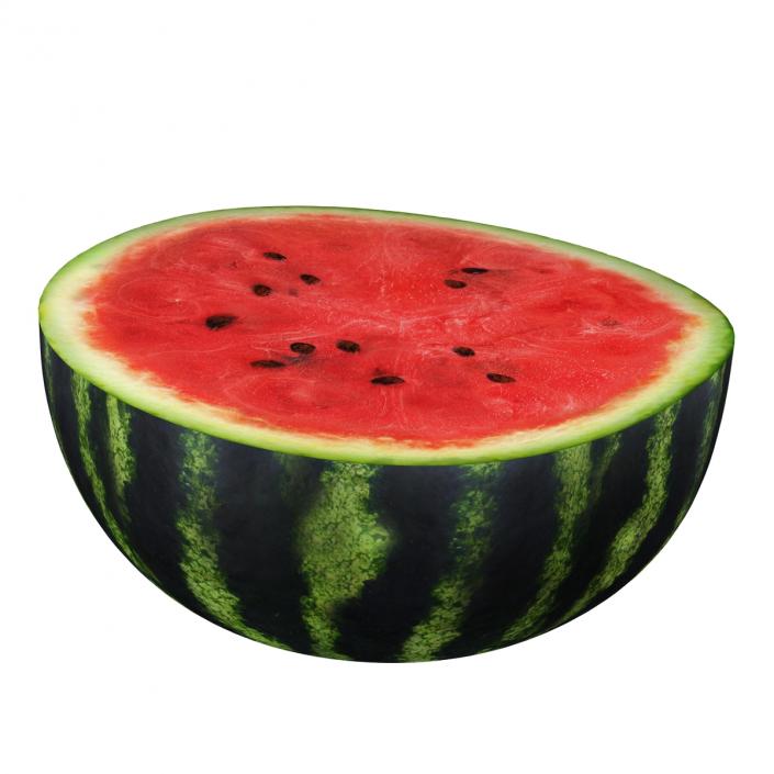 3D Watermelon Cross Section 2