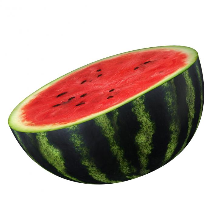 3D Watermelon Cross Section 2