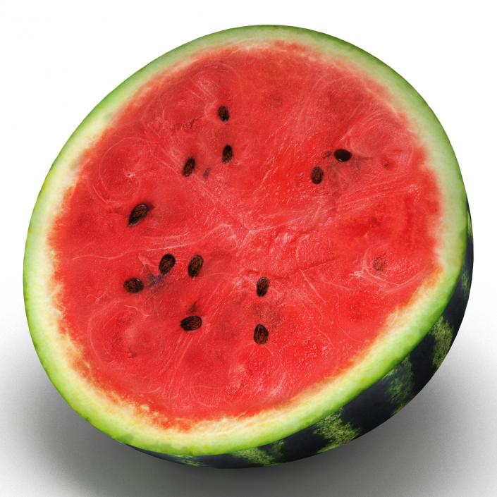 3D Watermelon Cross Section 2