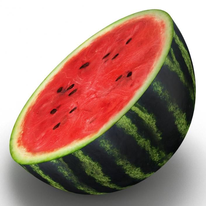 3D Watermelon Cross Section 2