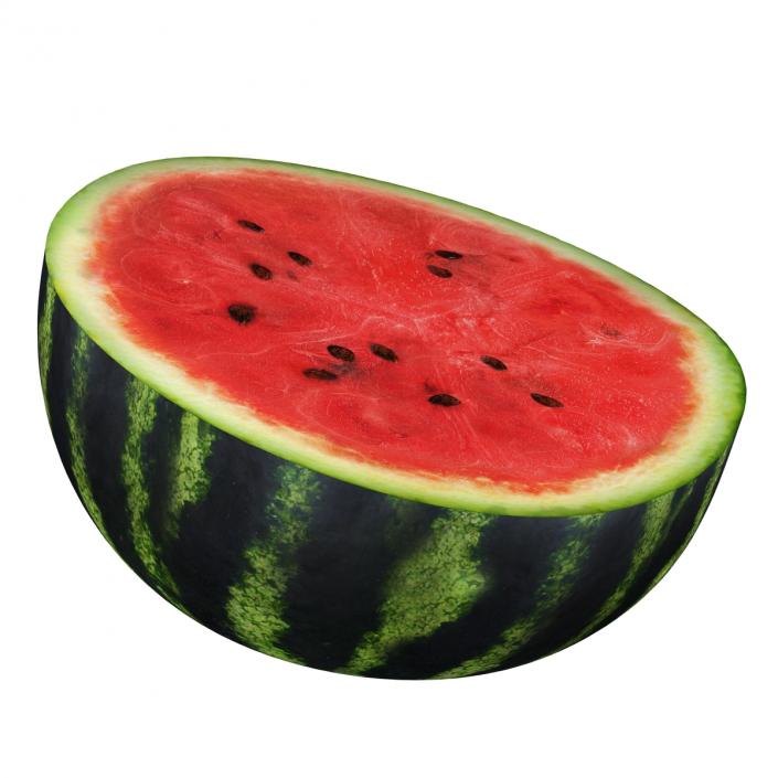 3D Watermelon Cross Section 2