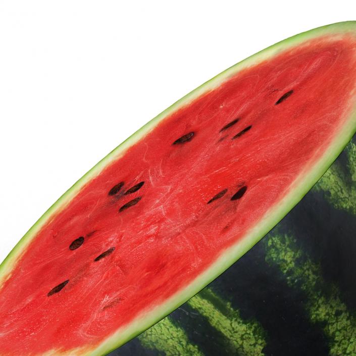 3D Watermelon Cross Section 2