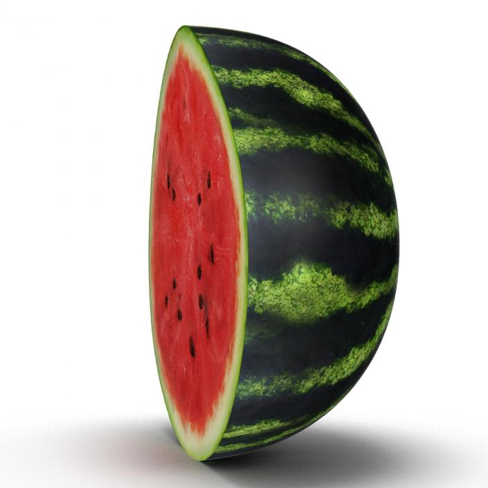 3D Watermelon Cross Section 2