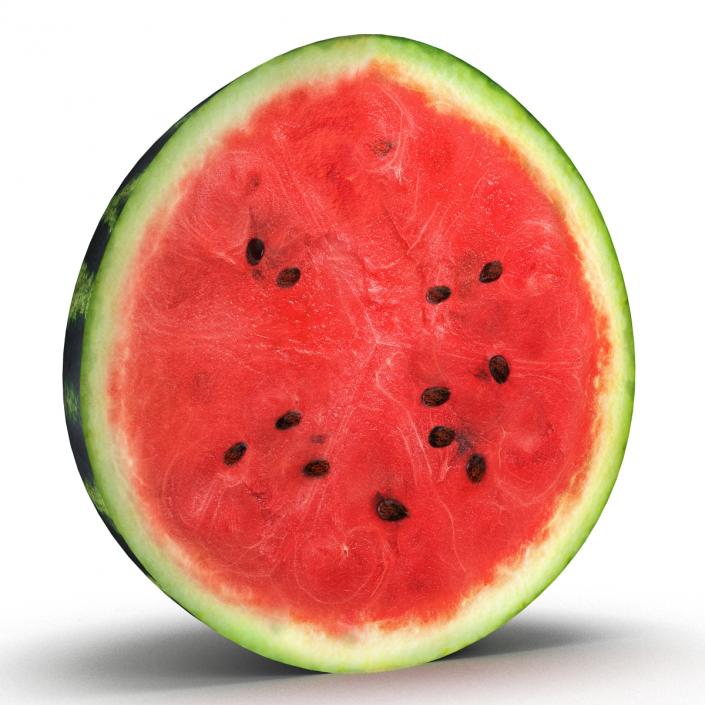 3D Watermelon Cross Section 2