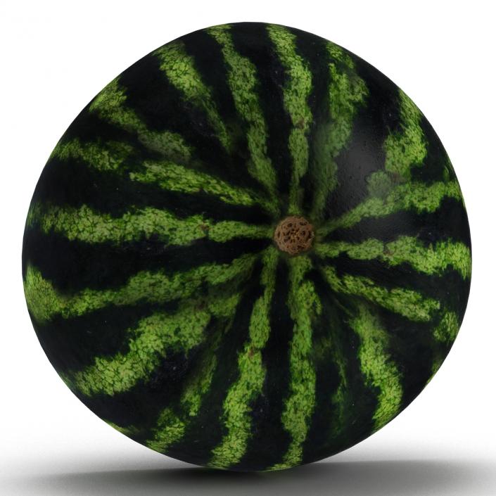 3D Watermelon Cross Section 2