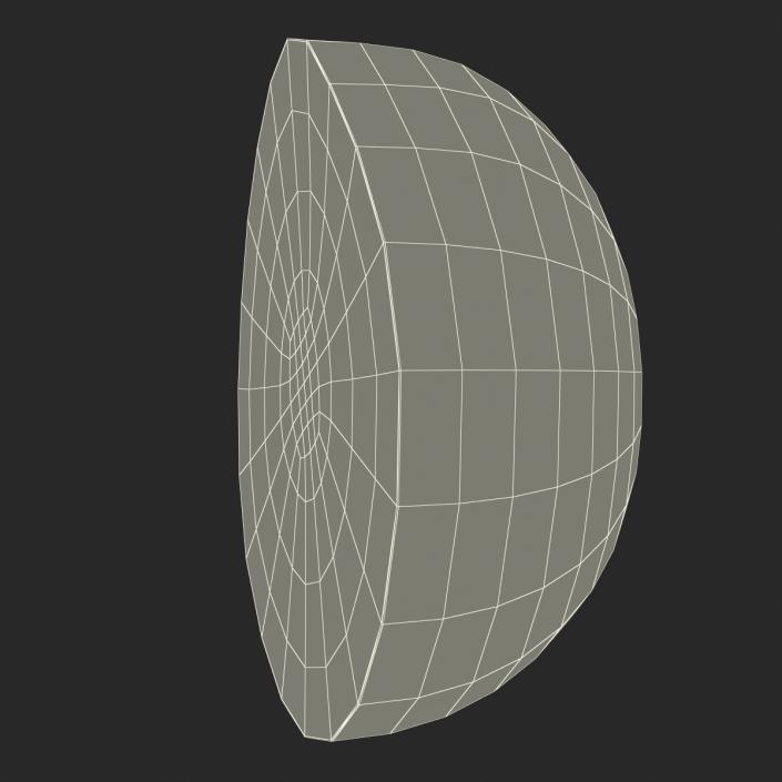 3D Watermelon Cross Section 2