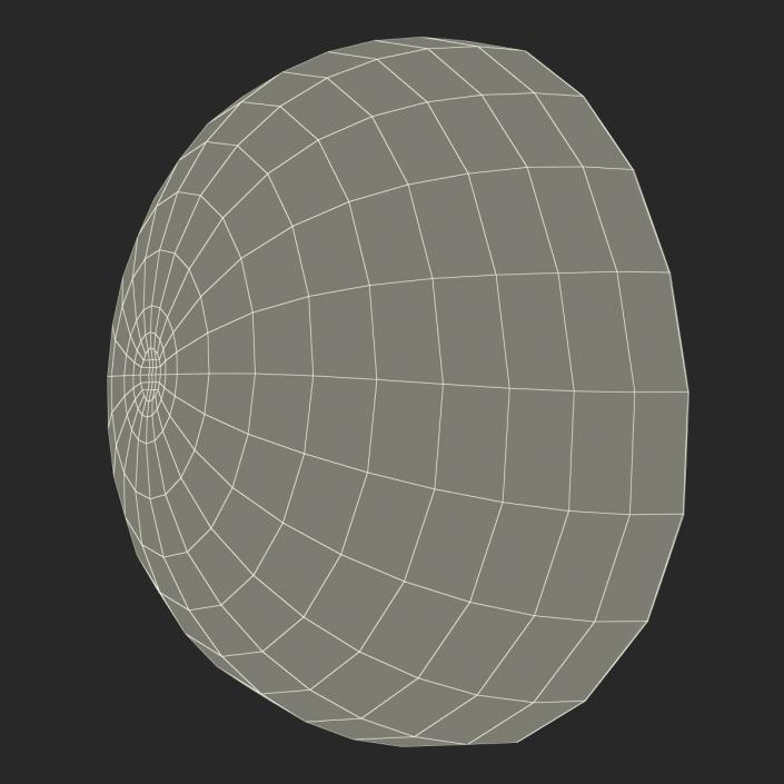 3D Watermelon Cross Section 2