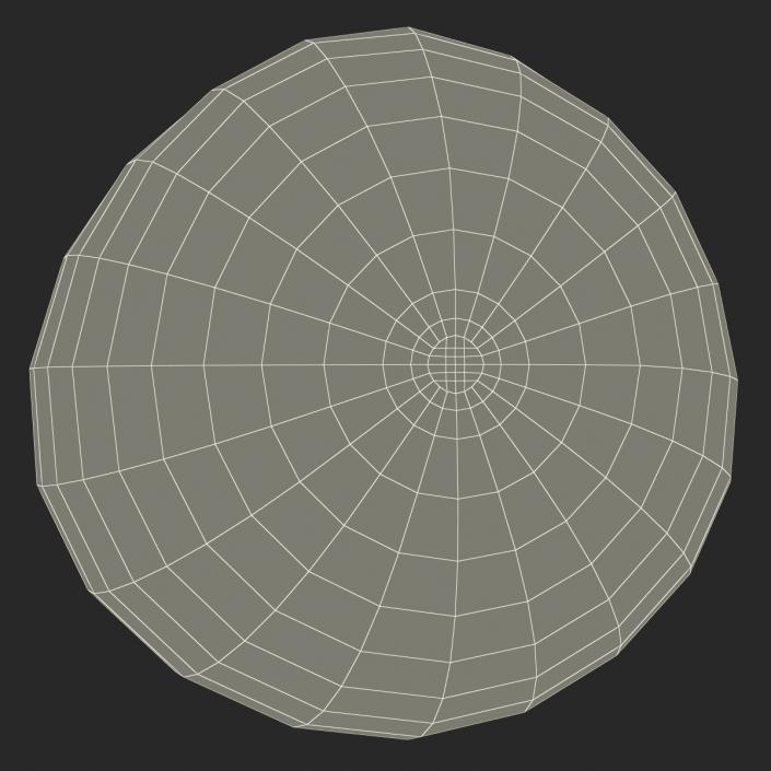 3D Watermelon Cross Section 2