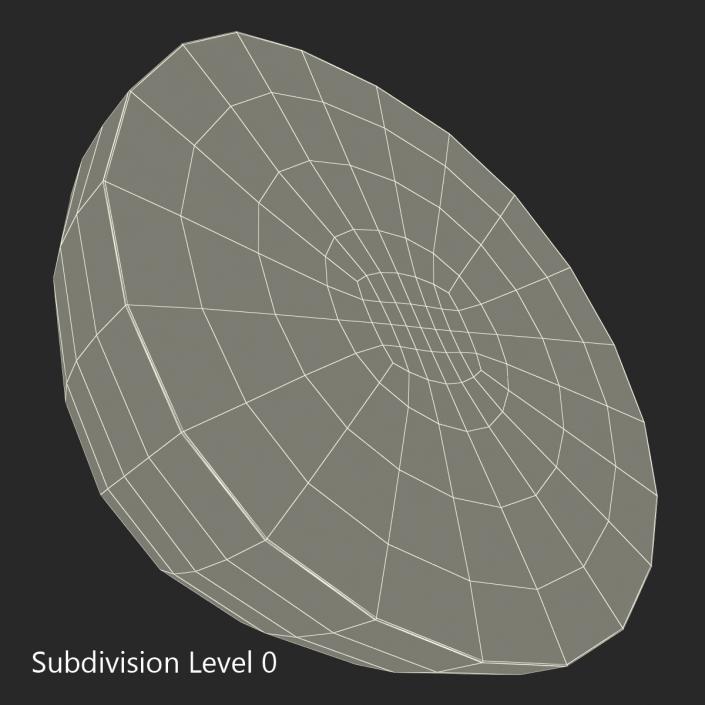 3D Watermelon Cross Section 3