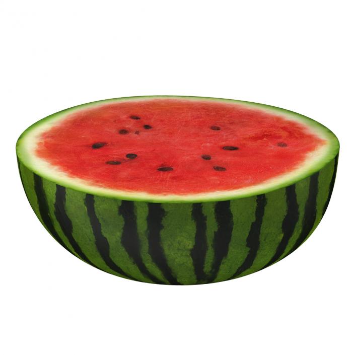 3D Watermelon Cross Section 3