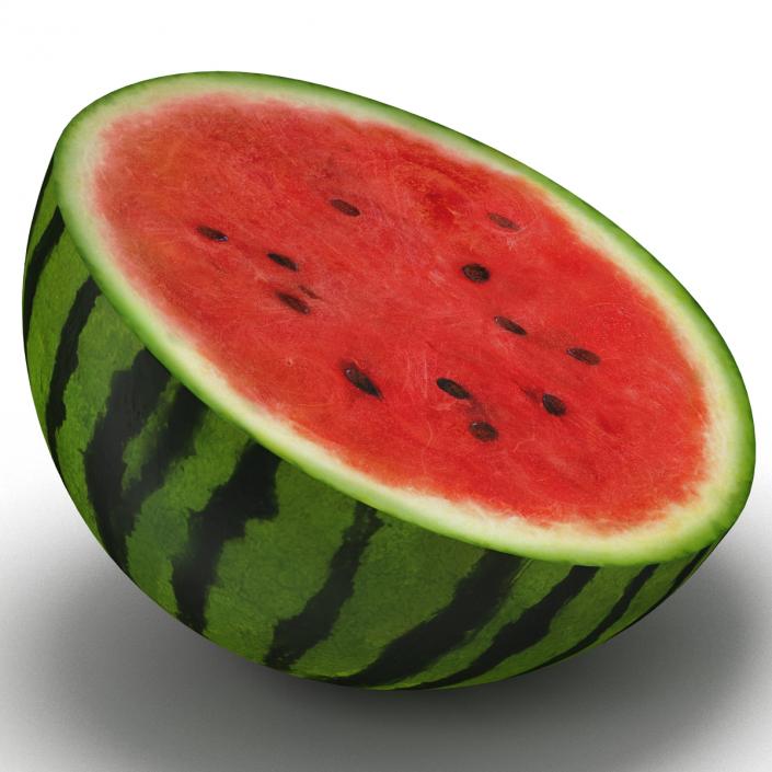 3D Watermelon Cross Section 3