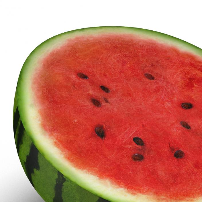 3D Watermelon Cross Section 3