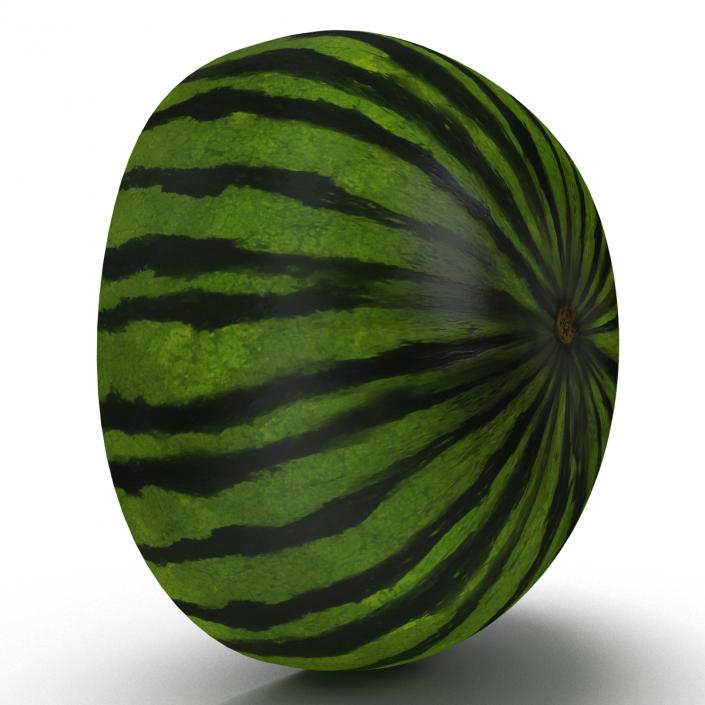 3D Watermelon Cross Section 3