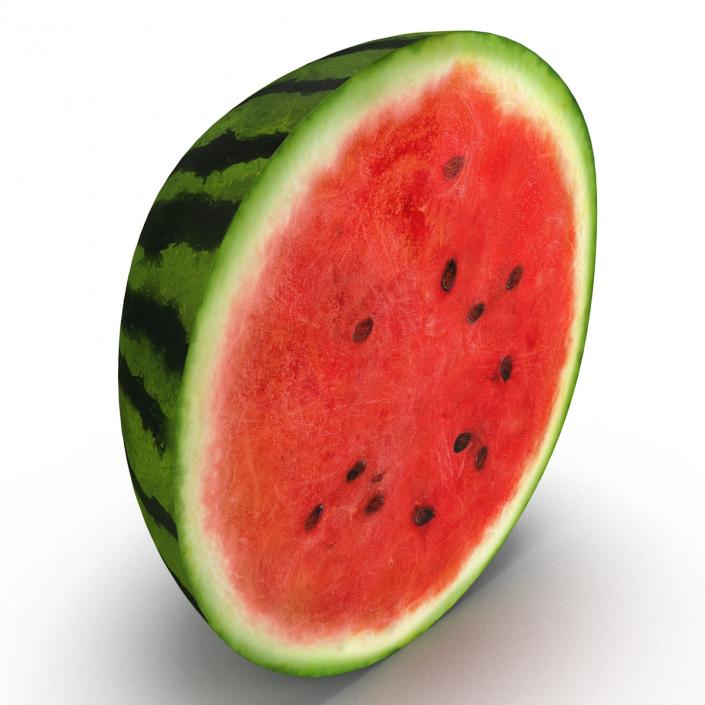 3D Watermelon Cross Section 3