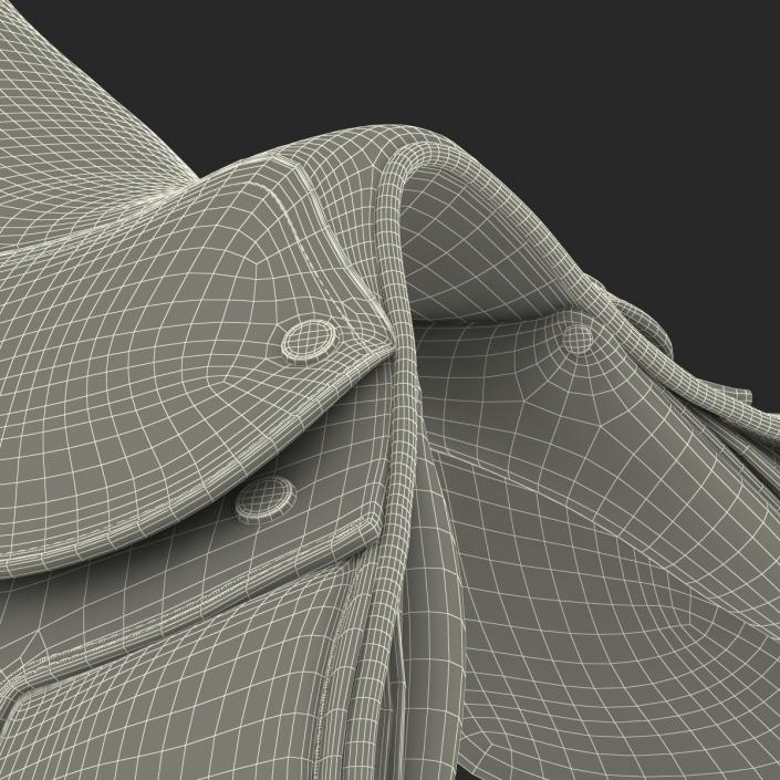 3D model Saddle