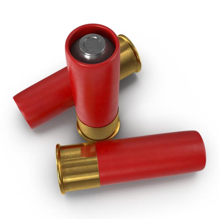 3D Shotgun Shell model