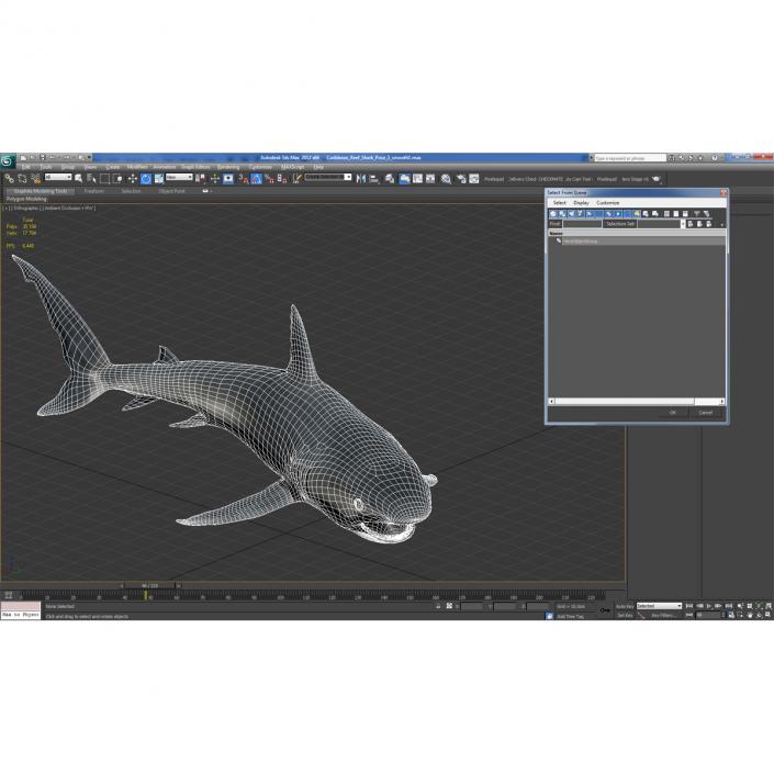 Caribbean Reef Shark Swimming Pose 3D model