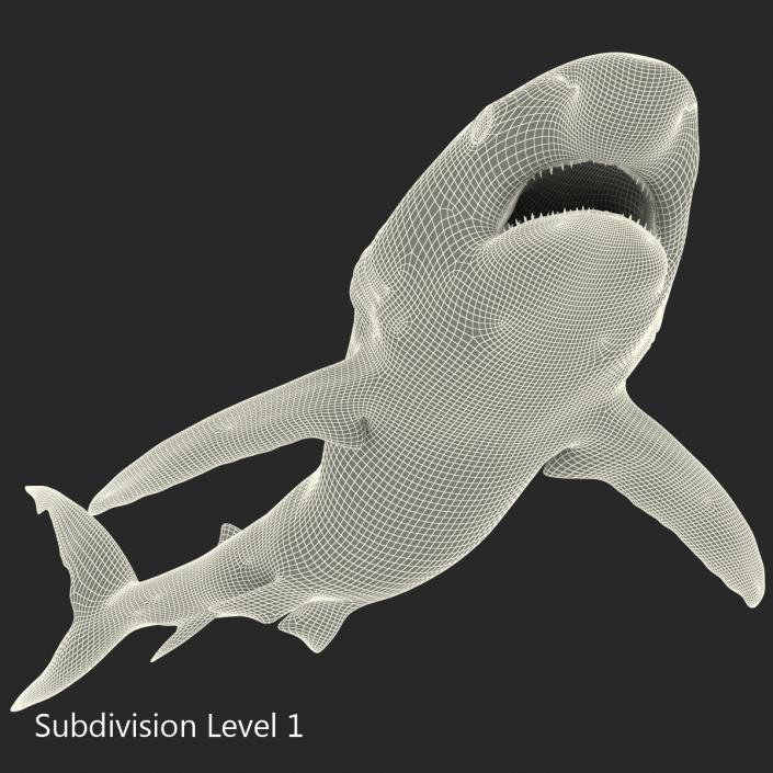 Caribbean Reef Shark Swimming Pose 3D model