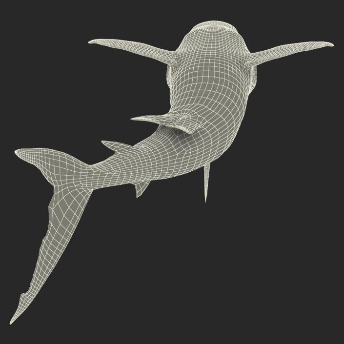 Caribbean Reef Shark Swimming Pose 3D model