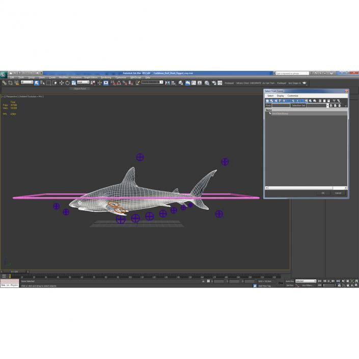 Caribbean Reef Shark Rigged 3D