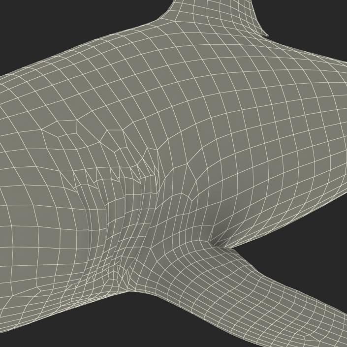 Caribbean Reef Shark Rigged 3D