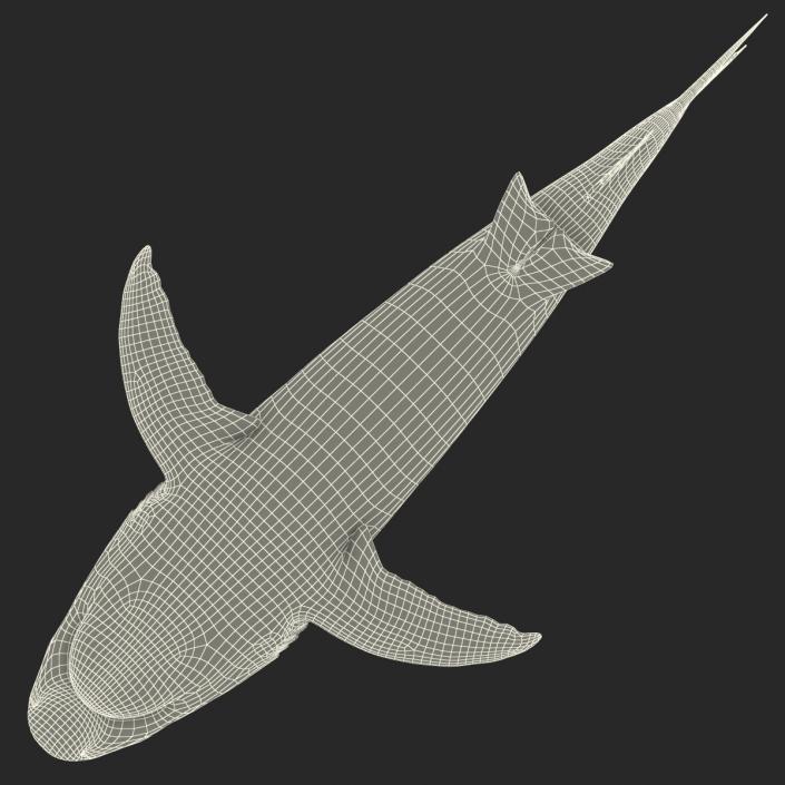 Caribbean Reef Shark Rigged 3D