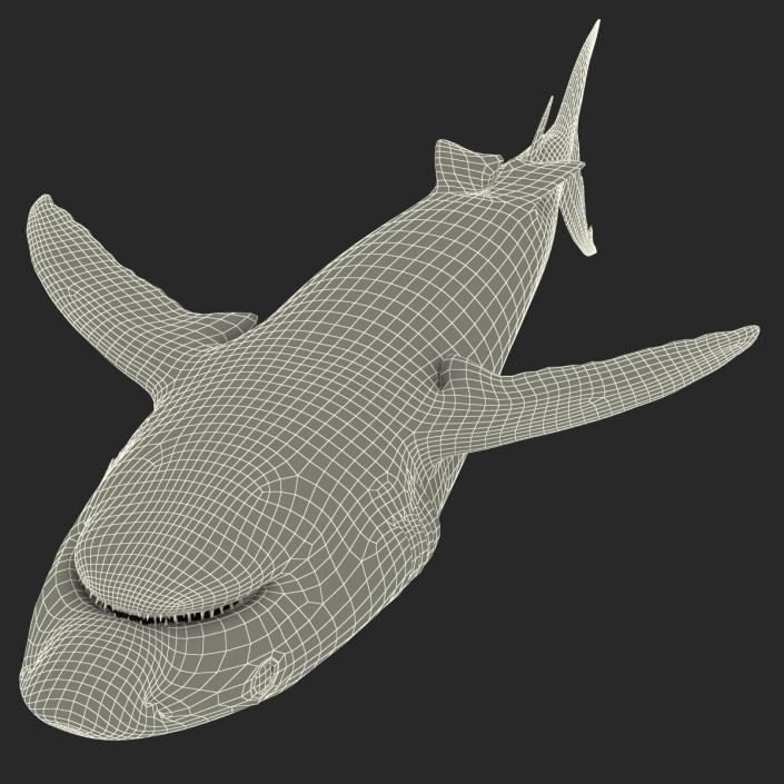 Caribbean Reef Shark Rigged 3D