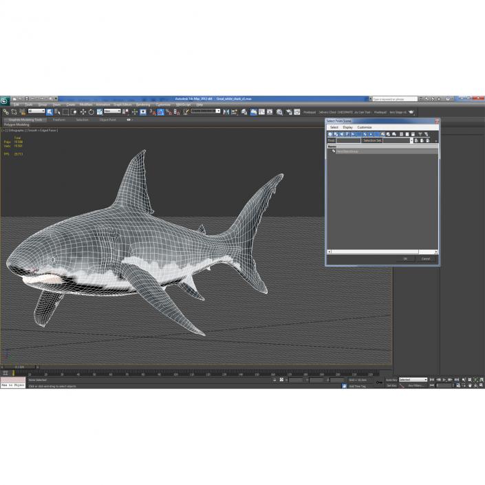 Great White Shark 3D