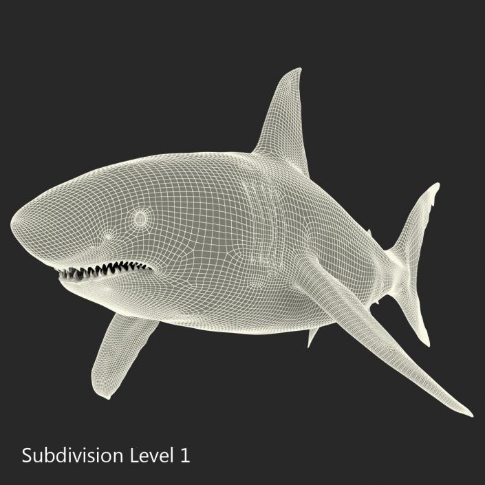 Great White Shark 3D