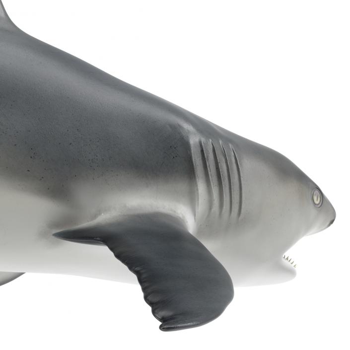 Great White Shark Attacking Pose 3D