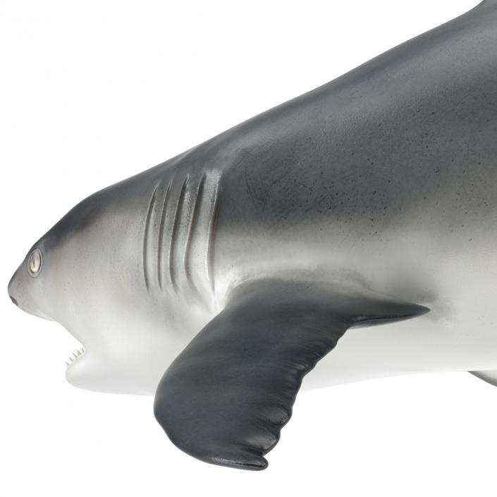 Great White Shark Attacking Pose 3D