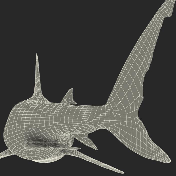 Great White Shark Attacking Pose 3D