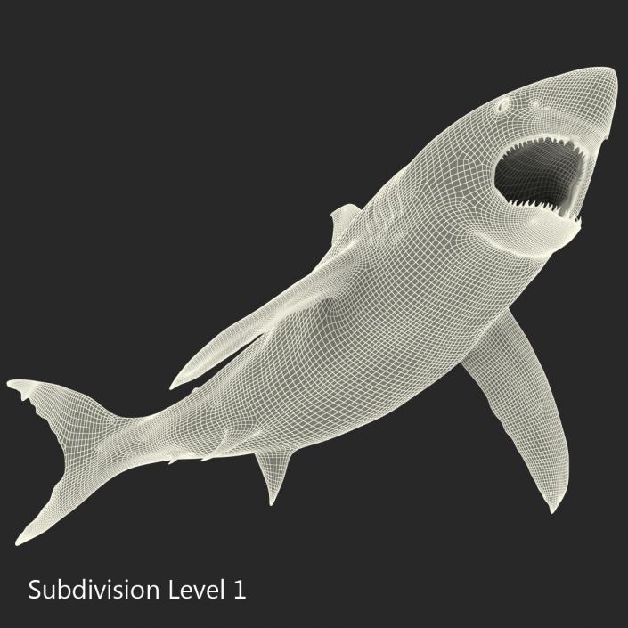 Great White Shark Attacking Pose 3D