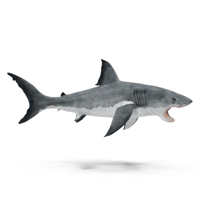 Great White Shark Attacking Pose 3D