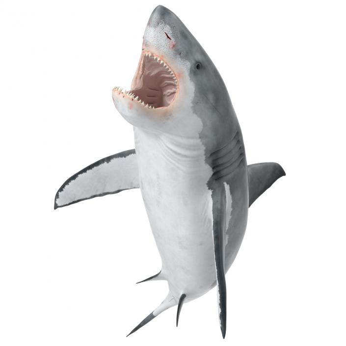 Great White Shark Attacking Pose 3D