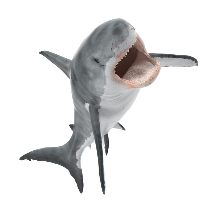 Great White Shark Attacking Pose 3D