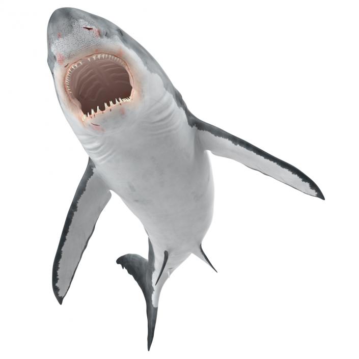 Great White Shark Attacking Pose 3D