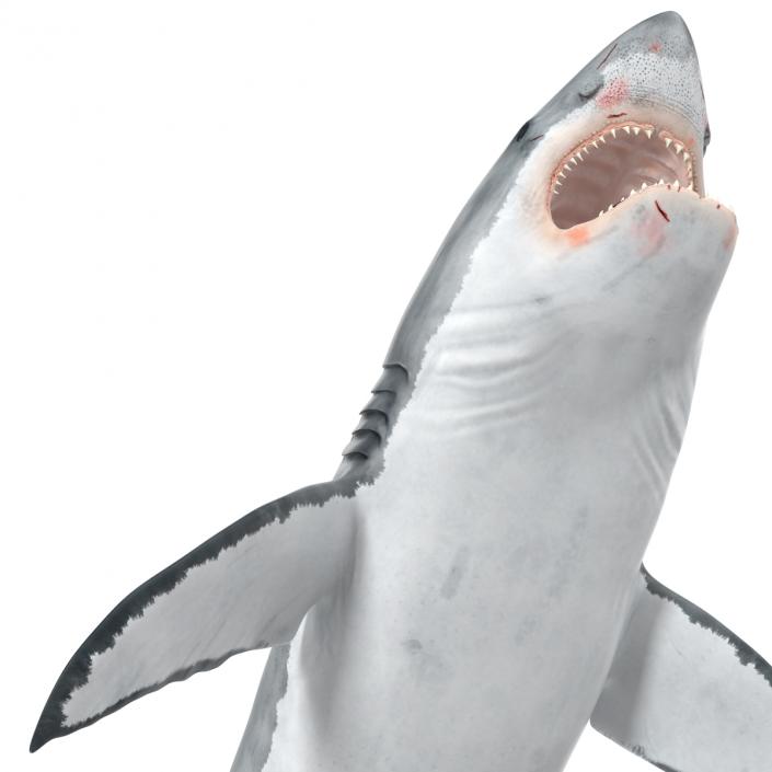 Great White Shark Attacking Pose 3D