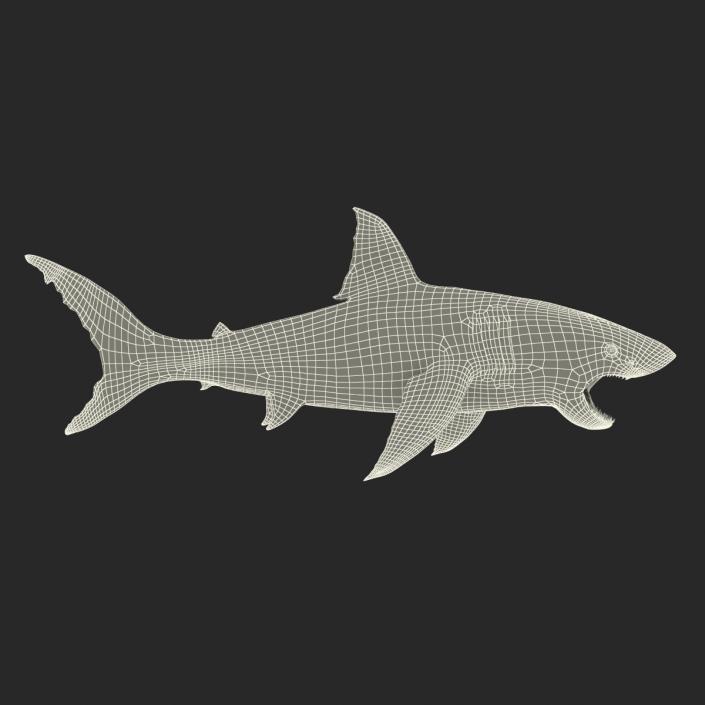 Great White Shark Attacking Pose 3D