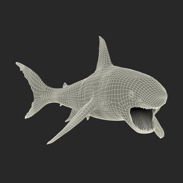 Great White Shark Attacking Pose 3D