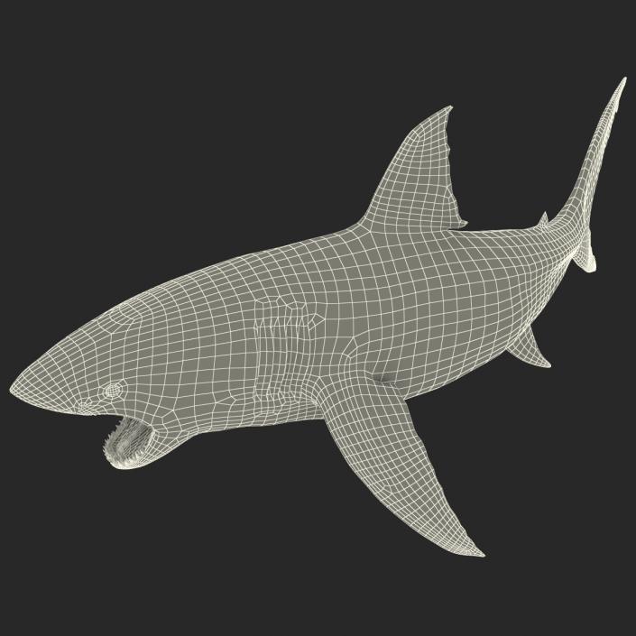 Great White Shark Attacking Pose 3D